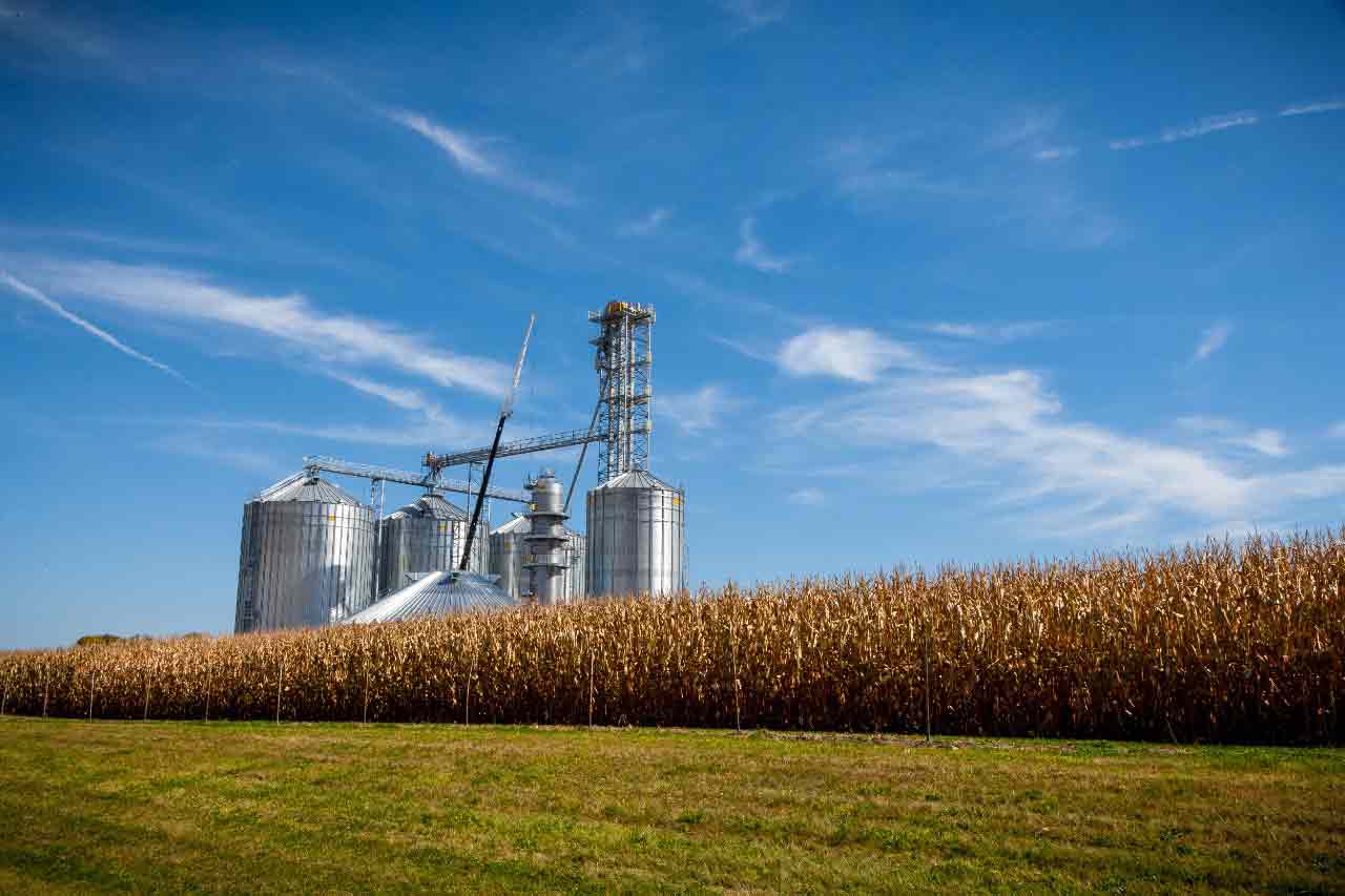 J&M Trading - Commodities: Milho